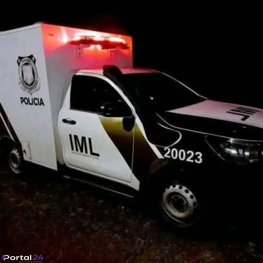 Homem morre após cair de pinheiro durante colheita de pinhão em Palmas