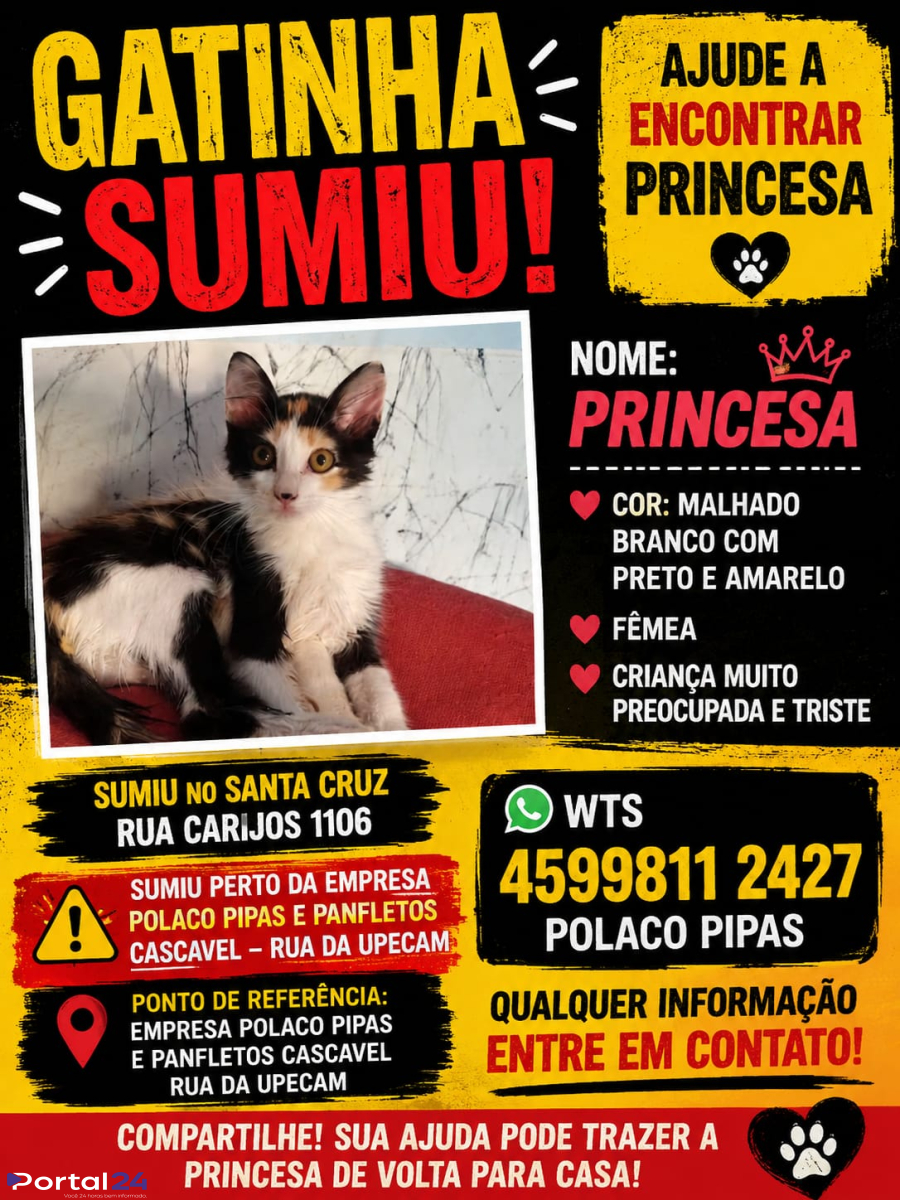 Gatinha desaparece no Bairro Santa Cruz e família pede ajuda para encontrá-la em Cascavel