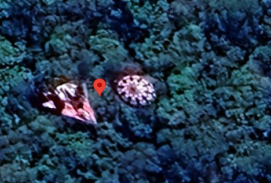 Objeto misterioso no Google Maps viraliza no Paraná e até Polícia Militar entra na brincadeira
