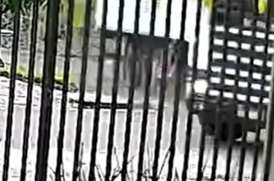 Vídeo mostra manobra que atingiu fatalmente criança em Cascavel