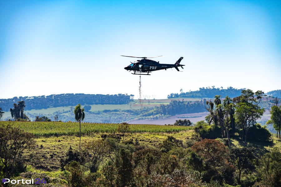 PRF realiza semeadura aérea de 18 toneladas de sementes de palmeira-juçara no Paraná