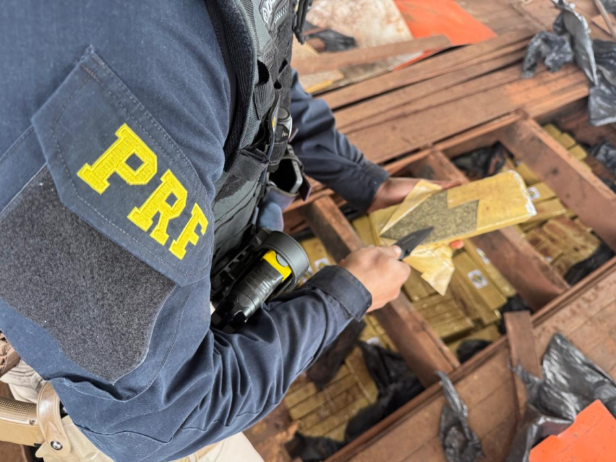 PRF apreende mais de meia tonelada de maconha em caminhão na BR-487