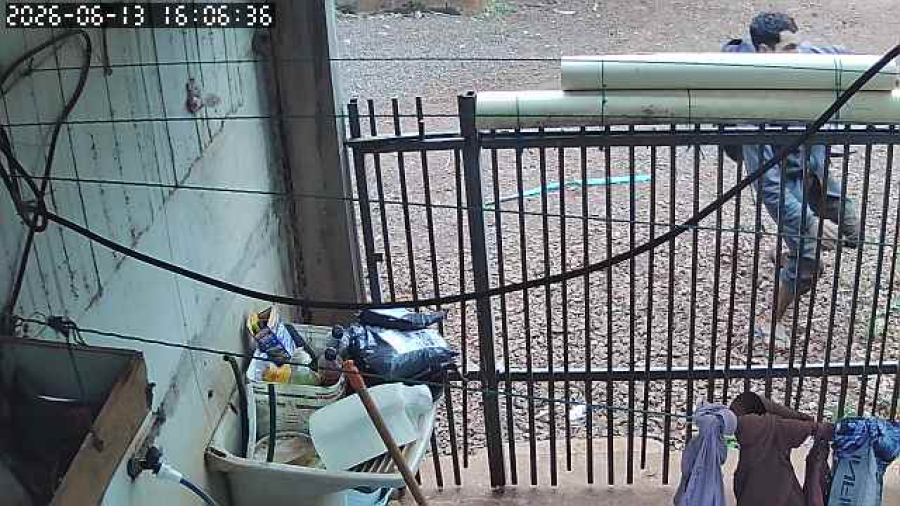 Polícia procura suspeito de homicídio em Palotina