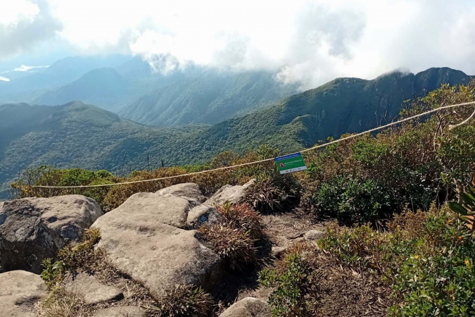 IAT cerca áreas degradadas do Pico Paraná para viabilizar restauração ambiental