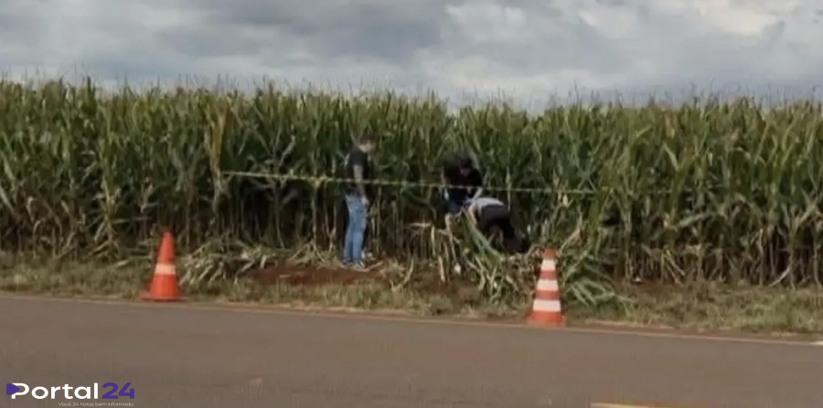 Mistério na rodovia: homem é encontrado morto entre Peabiru e Araruna e caso levanta suspeitas de crime