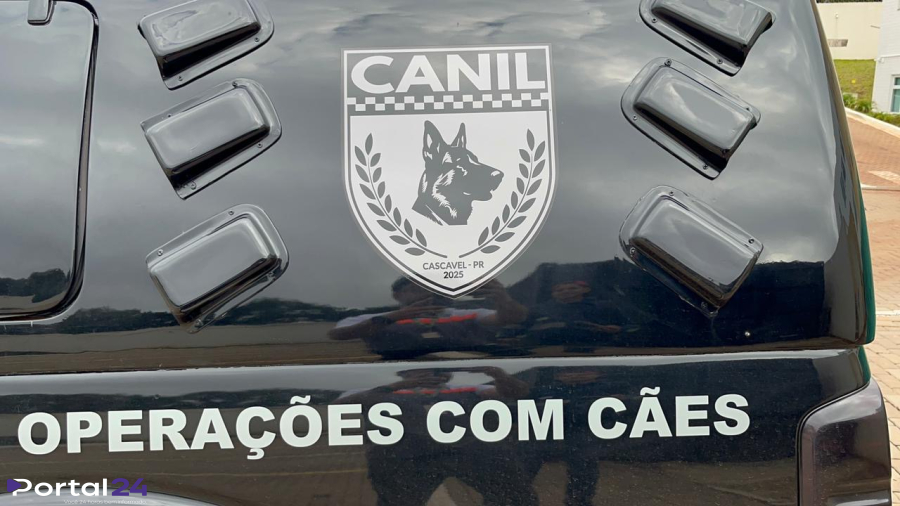 Veículo furtado é localizado abandonado pela equipe do Canil da GM