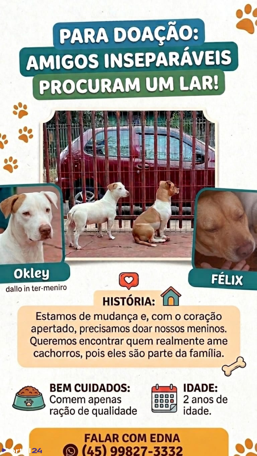 Dupla inseparável busca novo lar em meio à mudança de família