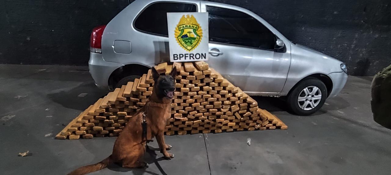 BPFRON prende homem e apreende mais de 230 quilos de maconha em Nova Prata do Iguaçu