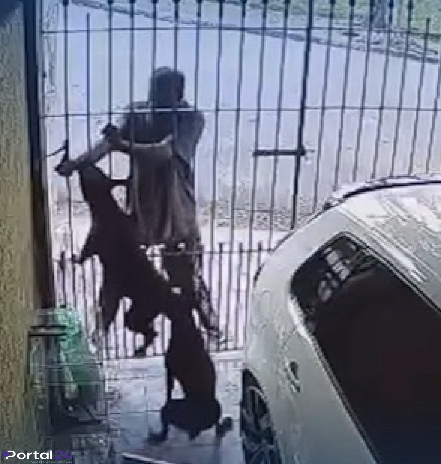 Homem é mordido por cachorro durante tentativa de furto e reclama com morador