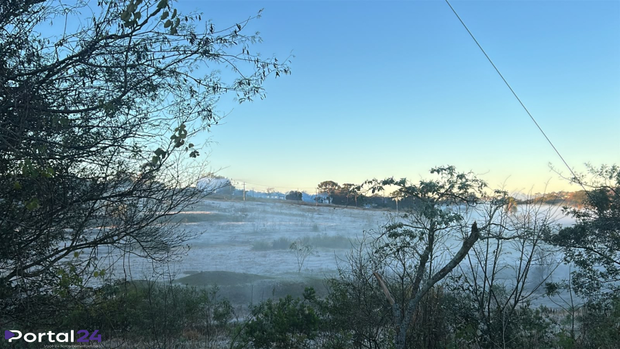 Geada marca o início da quarta-feira em Cascavel e região Oeste do Paraná