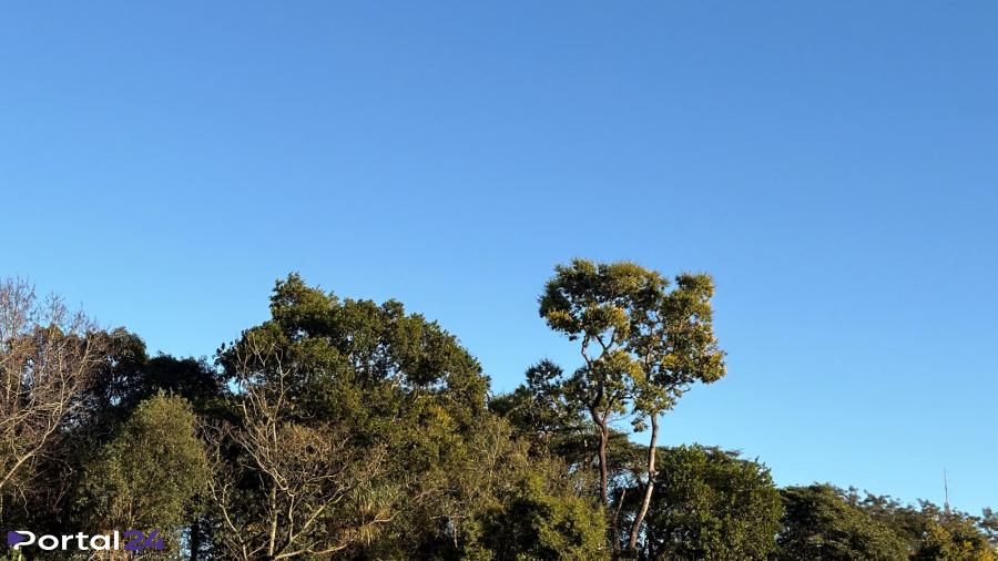 Frio marca o amanhecer, mas sol garante tarde agradável em Cascavel e região