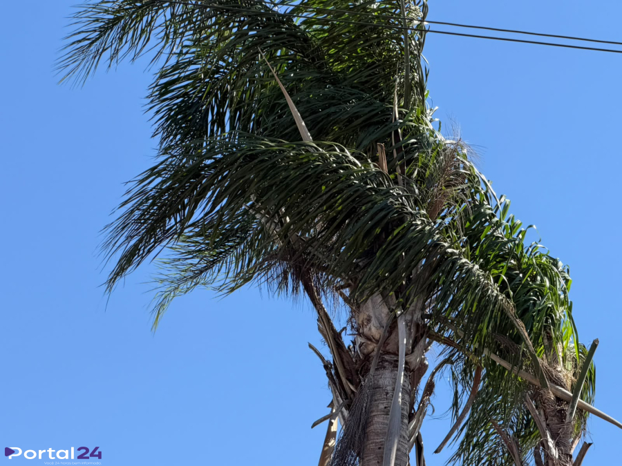 Inmet emite alerta de vendaval para Cascavel e outros 139 municípios do Paraná