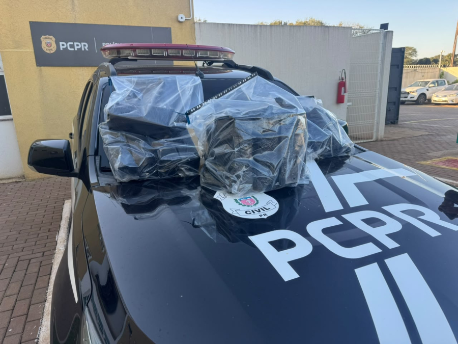 Polícia Civil e Receita Federal apreendem mais de 47 quilos de maconha em transportadora de Cascavel