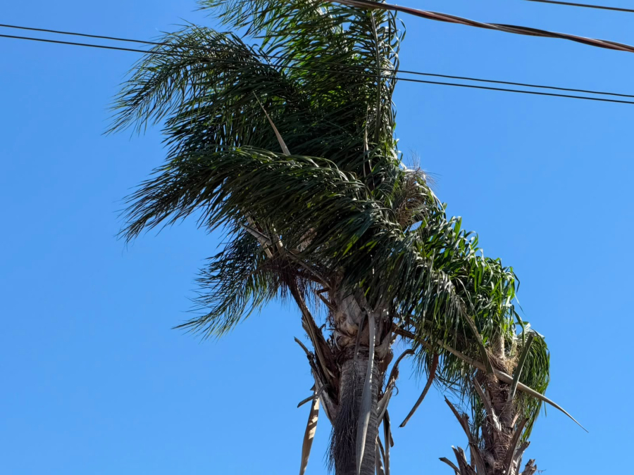 Cascavel registra ventos de 64km/h nesta sexta-feira 