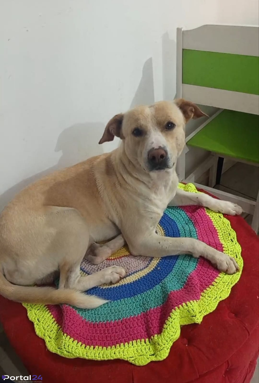 Luke está desaparecido e família pede ajuda para encontrá-lo