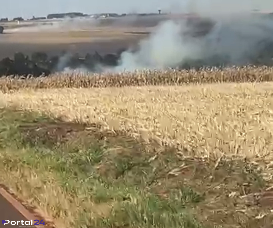 Incêndio de grandes proporções atinge área de vegetação na PR-581, após Tupãssi