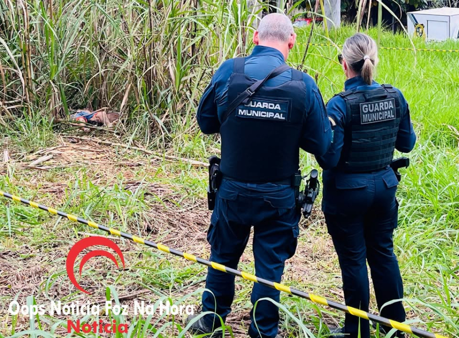 Polícia investiga execução após dois homens serem encontrados mortos em canavial de Foz