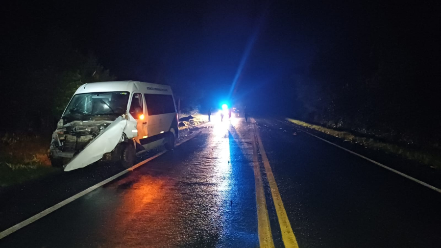Micro-ônibus com pacientes bate em búfalos na BR-153; seis pessoas ficam feridas