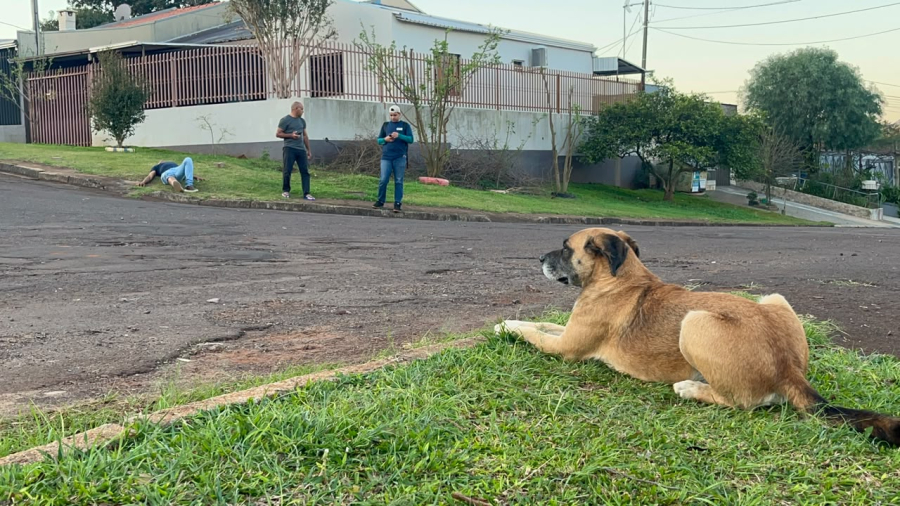 Homem fica ferido após ser mordido por cão no Turisparque