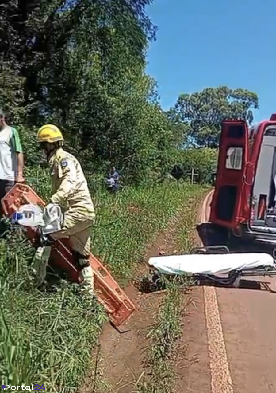 Caminhão carregado de suínos tomba na PR-180, em Rio do Salto