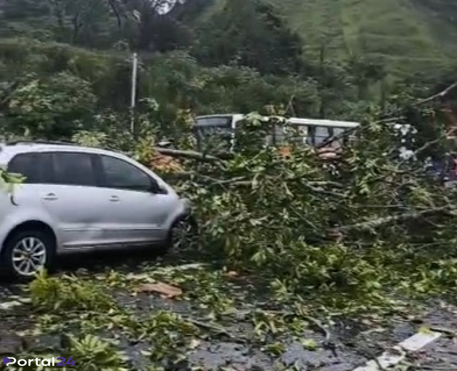 Interdição na BR por queda de árvore entre Rio e São Paulo (Via Dutra)