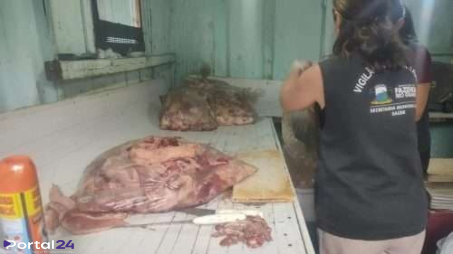 Fiscalização encontra açougue clandestino que reaproveitava carne podre em Fazenda Rio Grande