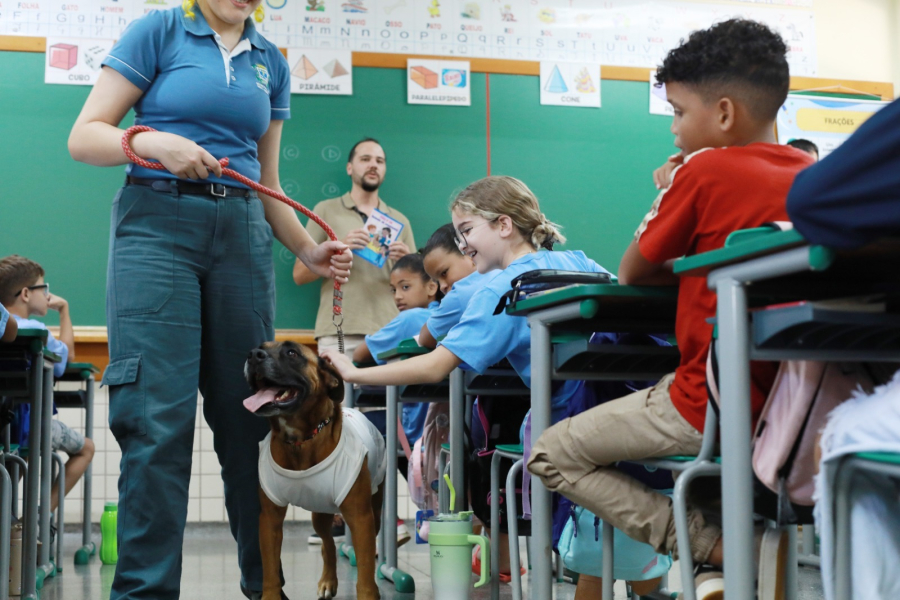 Ação de conscientização sobre cuidado com animais será realizada em escola de Cascavel