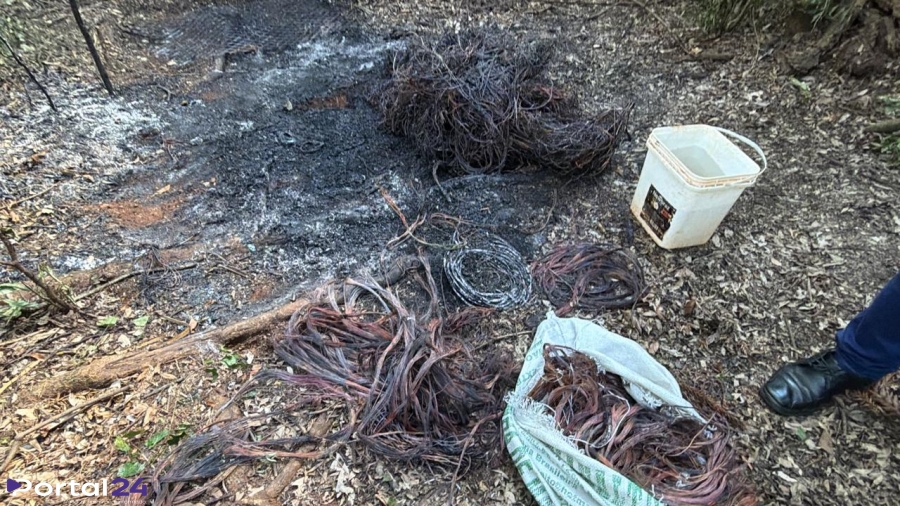Dois suspeitos de furtar fios fogem e ficam feridos após perseguição da Guarda Municipal