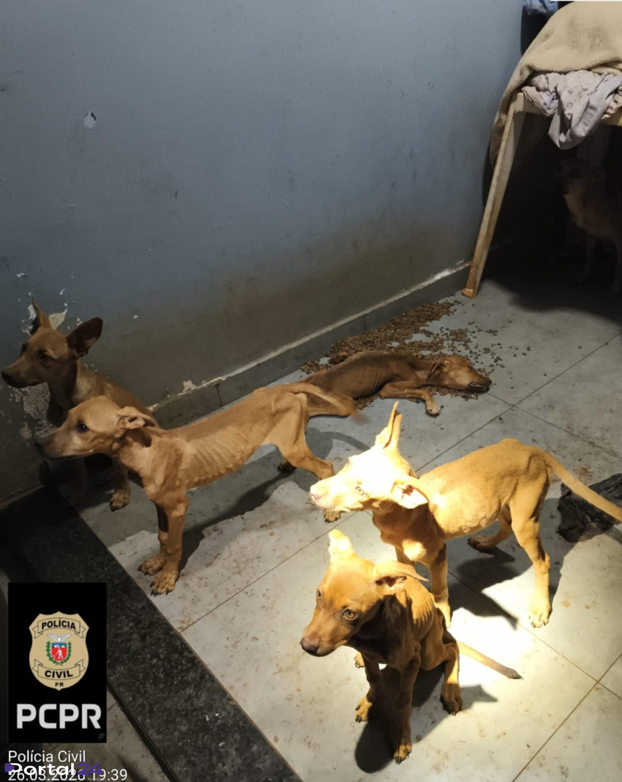 Mulher é presa em flagrante por maus-tratos a animais em Toledo